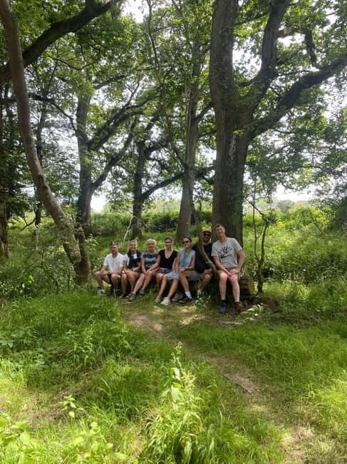 Canterbury: City Nature Tour with Forest Bathing - Practical Details and Considerations