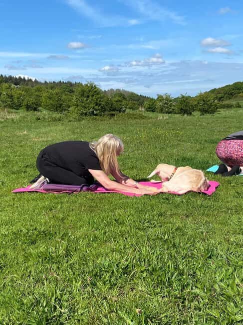 Canterbury: Yoga with Goats and Sheep - Who Will Appreciate This Tour?