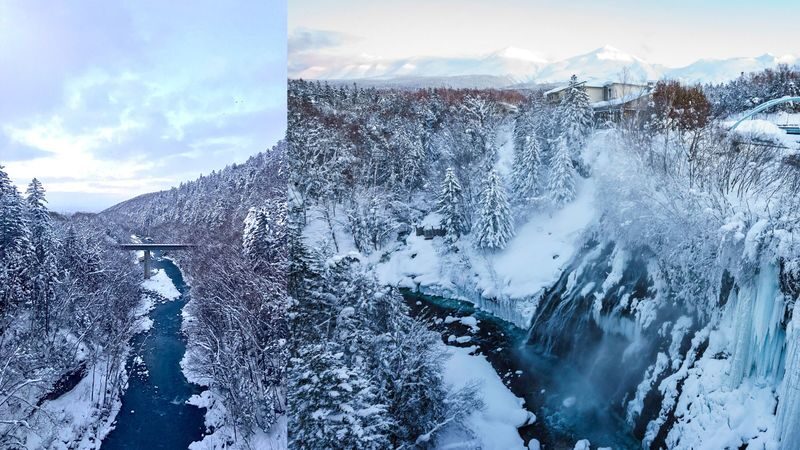 Cantonese and Mandarin/English | Biei Shirogane Blue Pond Illumination + Christmas Tree + White Birch Forest + Ningle Terrace + Shirahige Waterfall | Furano Lunch + Milk Postcard - Why the winter route works