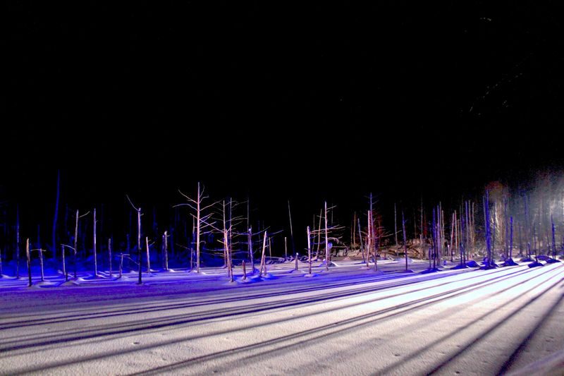 Cantonese and Mandarin/English | Biei Shirogane Blue Pond Illumination + Christmas Tree + White Birch Forest + Ningle Terrace + Shirahige Waterfall | Furano Lunch + Milk Postcard - Blue Pond after dark
