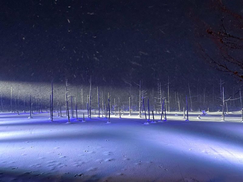 Cantonese and Mandarin/English | Biei Shirogane Blue Pond Illumination + Christmas Tree + White Birch Forest + Ningle Terrace + Shirahige Waterfall | Furano Lunch + Milk Postcard - What the price buys you