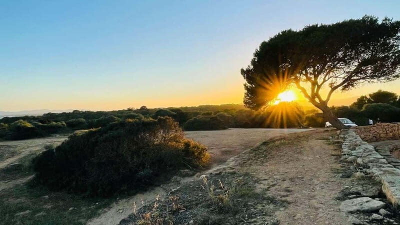 Canyamel: TimeForTwo, fun game,quiz and walk in nature - Frequently Asked Questions