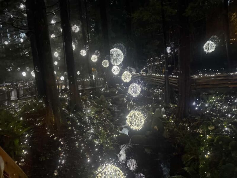 CANYON LIGHTS+Capilano Suspension Bridge/Small Group/CAR - Why This Tour Offers Great Value