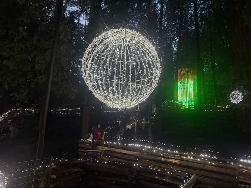 CANYON LIGHTS+Capilano Suspension Bridge/Small Group/CAR - Who Should Consider This Tour?