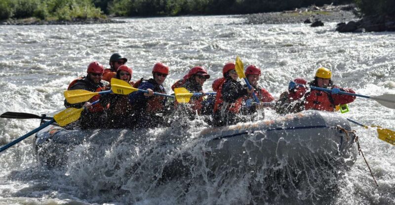 Canyon Run: Denali National Park Class IV Whitewater Rafting - Who Will Enjoy This Tour?
