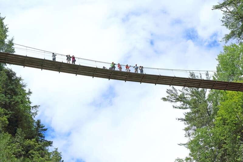 Canyon Sainte-Anne: Park Admission Ticket - Exploring Canyon Sainte-Anne: A Detailed Look