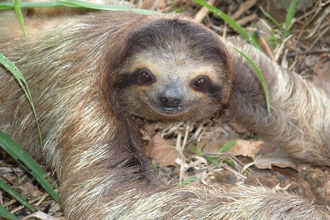 Canyoneering and Canopy Tour in Turrialba - Final Thoughts