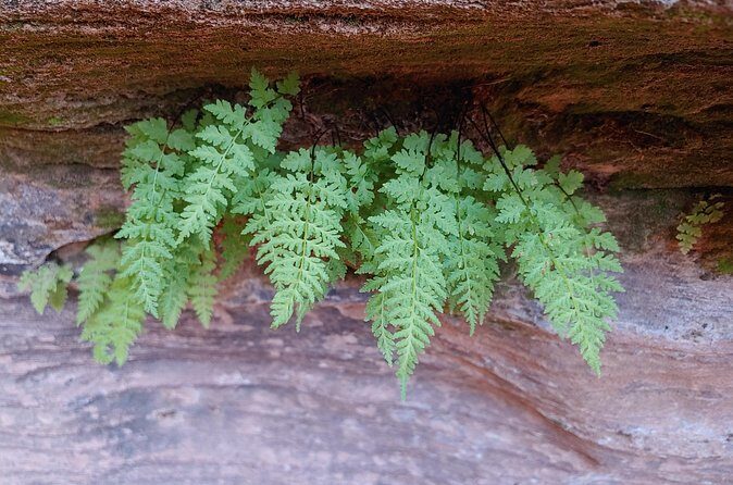 Canyoneering Kanab Area, Private - FAQs about the Kanab Canyoneering Private Tour