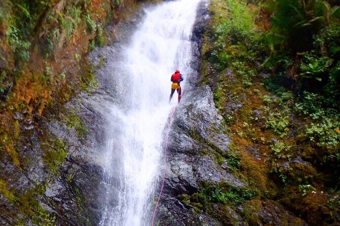Canyoning cloud forest private day trip - What’s Included and What’s Not?