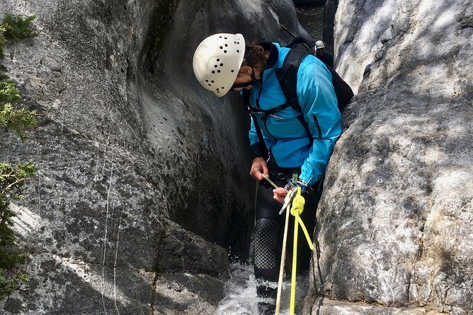 Canyoning half day - Heart Creek Canyon (beginner level) - An In-Depth Look at the Heart Creek Canyon Canyoning Tour