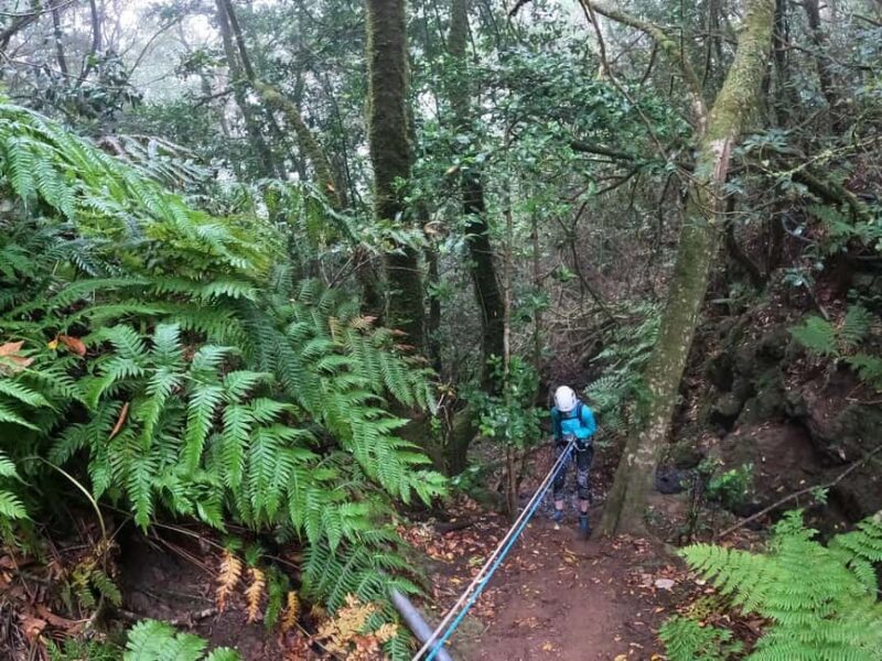 Canyoning in Anaga - Why This Tour Is a Solid Choice