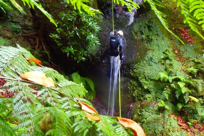 Canyoning Madeira Island - Level One - Who Should Consider This Tour?