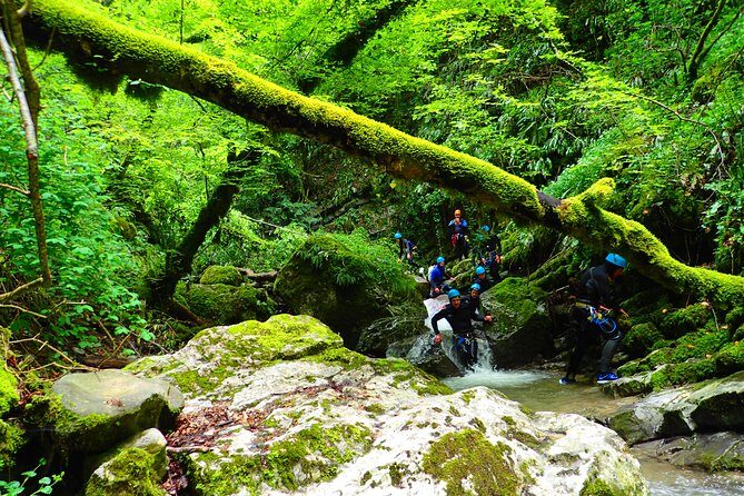 Canyoning sensation of Angon on the shores of Lake Annecy - Why You Should Consider This Tour