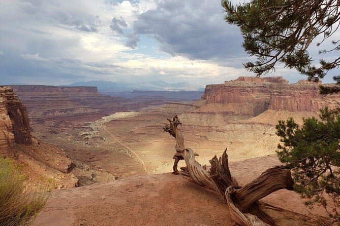 Canyonlands National Park Backcountry 4x4 Adventure from Moab - The Reviews: Authentic Feedback