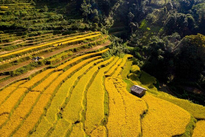 Cao Bang Loop Tour 3D2N by Motorbike, Car or Jeep - Why This Tour Works for Travelers