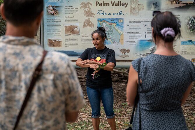 Cape Byron Aboriginal Tour - An In-Depth Look at the Cape Byron Aboriginal Tour