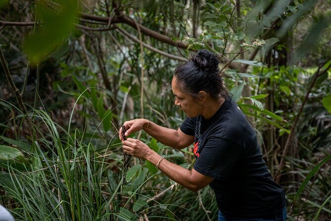 Cape Byron Aboriginal Tour - Frequently Asked Questions