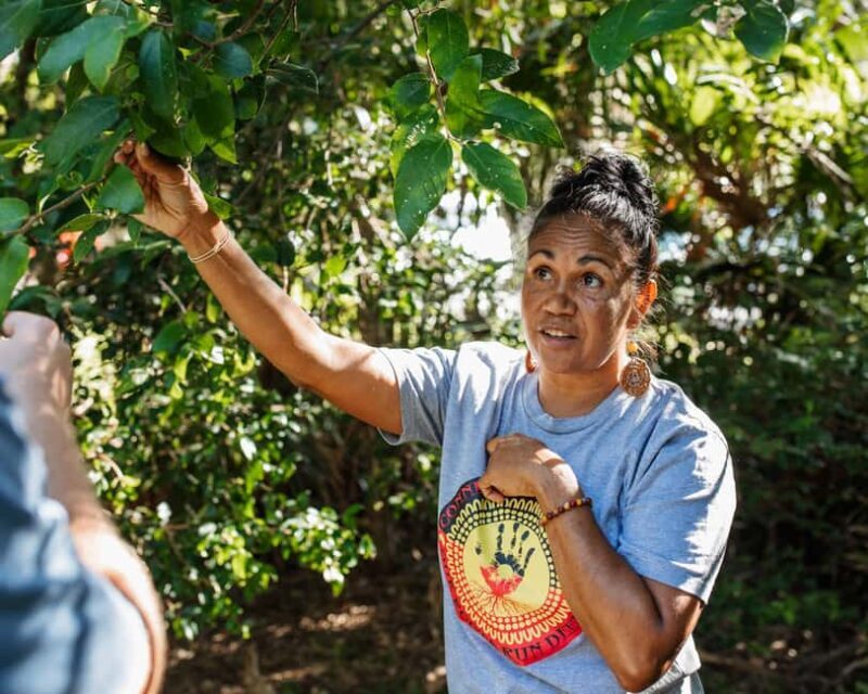 Cape Byron Aboriginal Tour - An In-Depth Look at the Cape Byron Aboriginal Tour