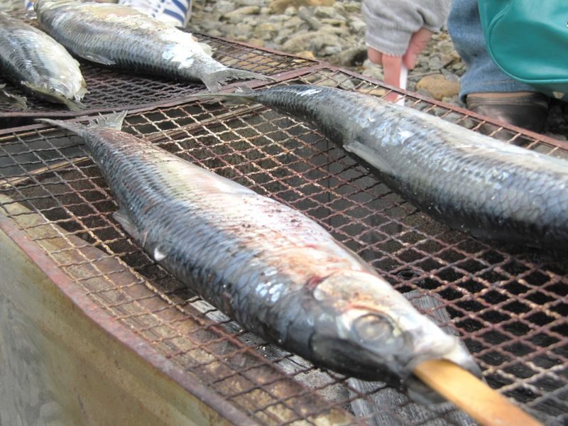 Cape Camui & Shiroi Koibito Park & Otaru & Shakotan Day Tour - Who will get the most from this route