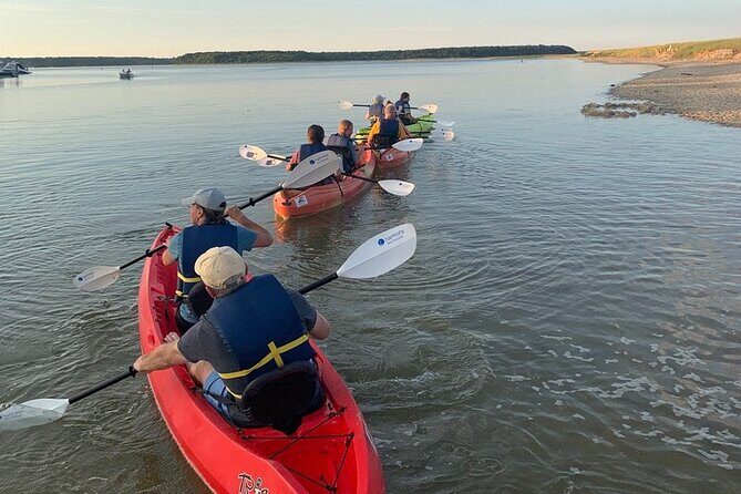 Cape Cod Kayak Rentals in Popponesset Bay Mashpee - Key Points