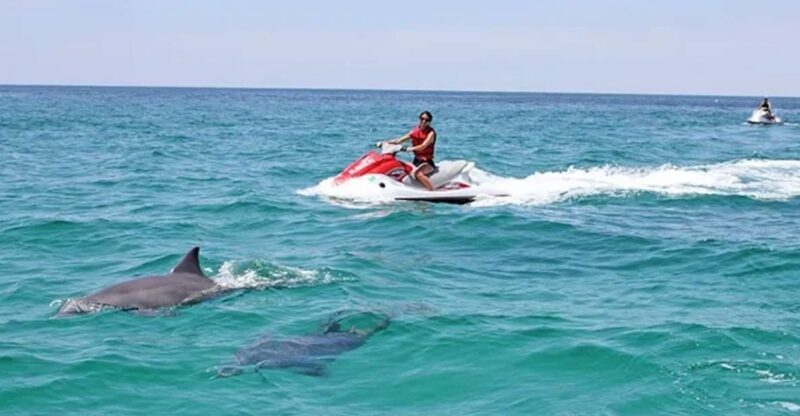 Cape Coral and Fort Myers: Wild Life Jet Ski Tour - Cape Coral and Fort Myers: Wild Life Jet Ski Tour – An Authentic Florida Adventure