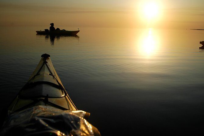 Cape Hatteras Kayak Adventure in Rodanthe - Who is This Tour Perfect For?