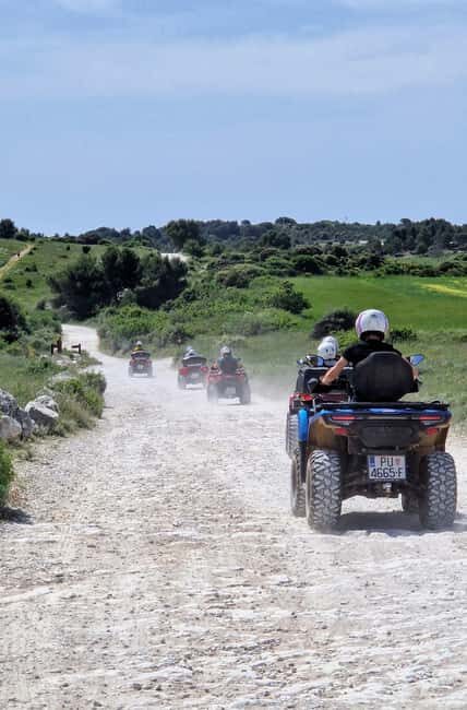 Cape Kamenjak Quad Safari 2.5h  Cliff Jump & Safari Bar - Key Points