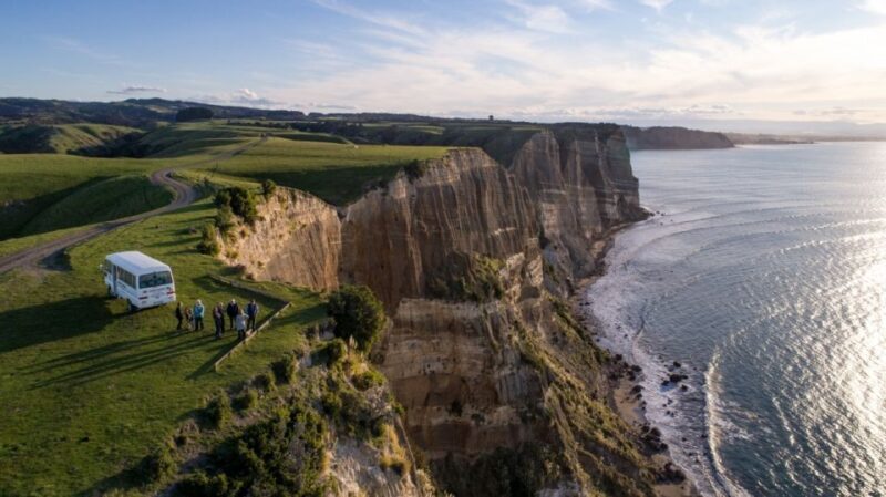 Cape Kidnappers: Gannet Colony Exclusive Sunrise Tour - Discover the Unique Charm of the Cape Kidnappers: Gannet Colony Sunrise Tour