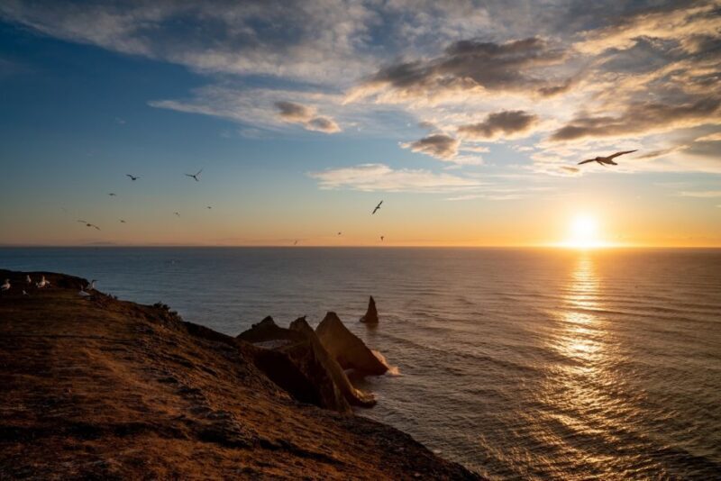 Cape Kidnappers: Gannet Colony Exclusive Sunrise Tour - The Sum Up: Who Will Love This Tour?