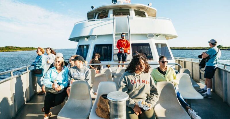 Cape May: Cape May Island Sunset Cruise & Dolphin Watching - An Authentic Cape May Experience: Sunset, Dolphins, and Scenic Waters