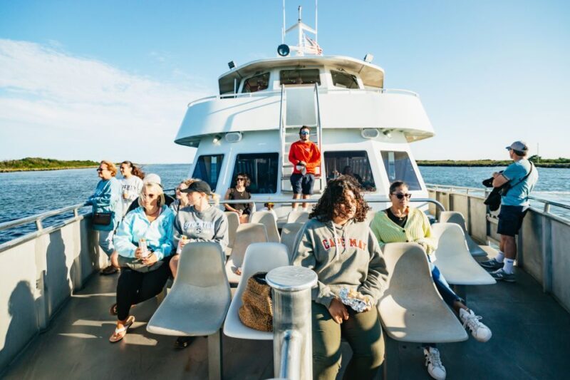 Cape May: Cape May Island Sunset Cruise & Dolphin Watching - Wildlife & Scenic Highlights: What You’re Likely to See