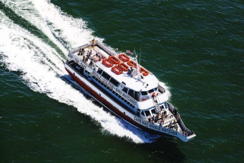 Cape May: Grand Lighthouse Cruise - Frequently Asked Questions