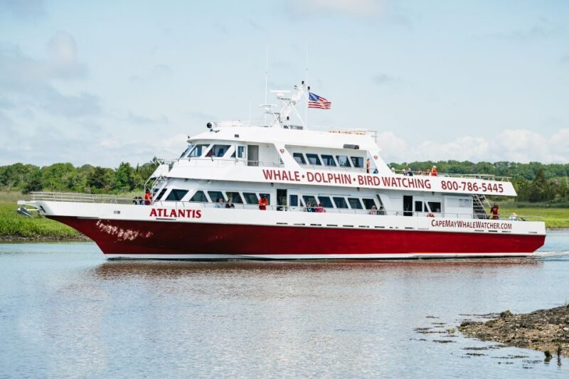 Cape May: Jersey Shore Whale and Dolphin Watching Cruise - Final Thoughts