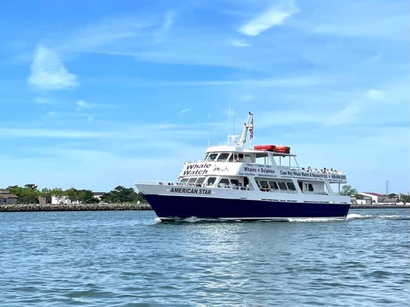 Cape May: Scenic Whale and Dolphin Watching Cruise - Key Points