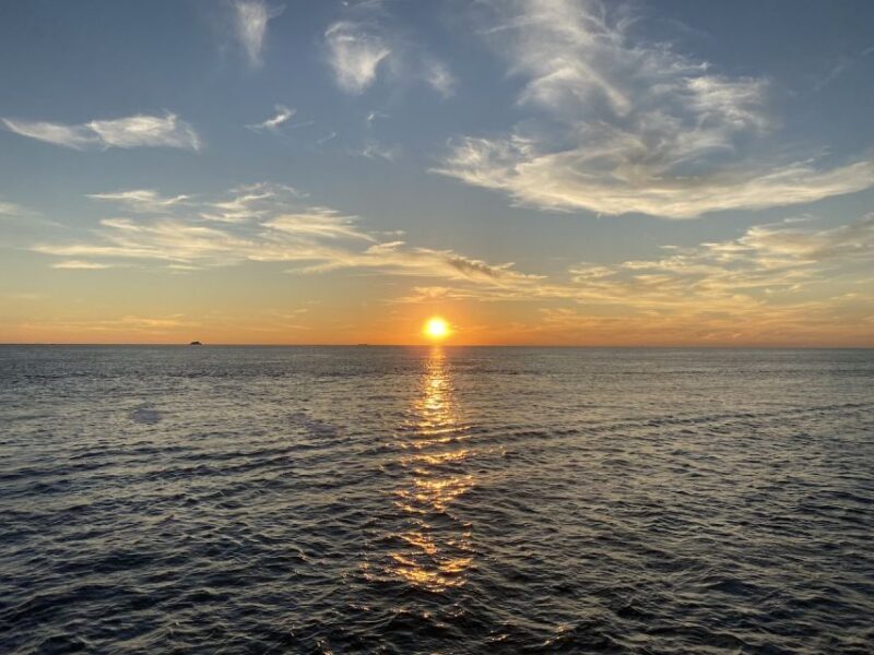 Cape May: Sunset Dolphin Watching Cruise with Food - A Detailed Breakdown of the Experience