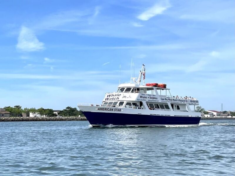 Cape May: Sunset Dolphin Watching Cruise with Food - FAQ