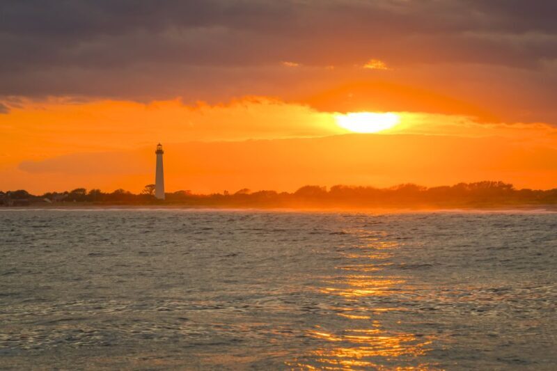 Cape May: Weekend Whale and Dolphin Watching Cruise - What You Can Expect on This Cape May Marine Adventure