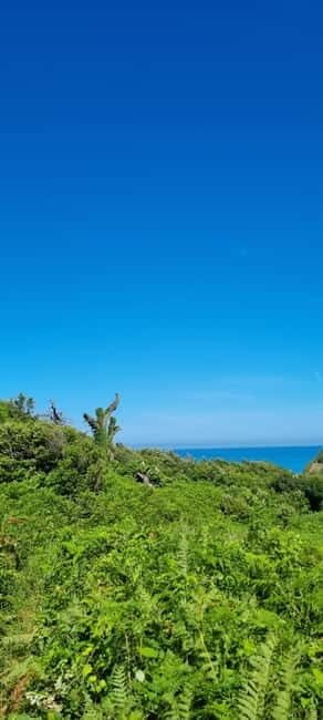 Cape of Rodon, Hiking to Castle, Beach, Wine testing tour! - Final Thoughts