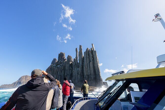 Cape Raoul Cruises Day Tour from Hobart - A Deep Dive into the Experience
