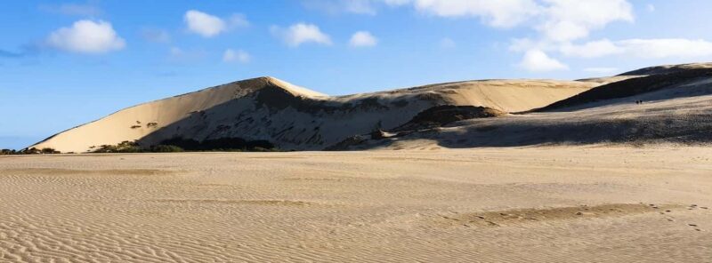 Cape Reinga: Day Trip from Paihia, Kerikeri, or Kaitaia - A Deep Dive into the Cape Reinga Day Trip
