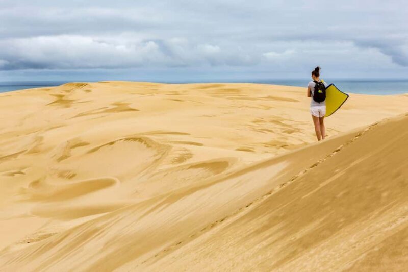 Cape Reinga: Day Trip from Paihia, Kerikeri, or Kaitaia - Climbing the Dunes and Sandboarding