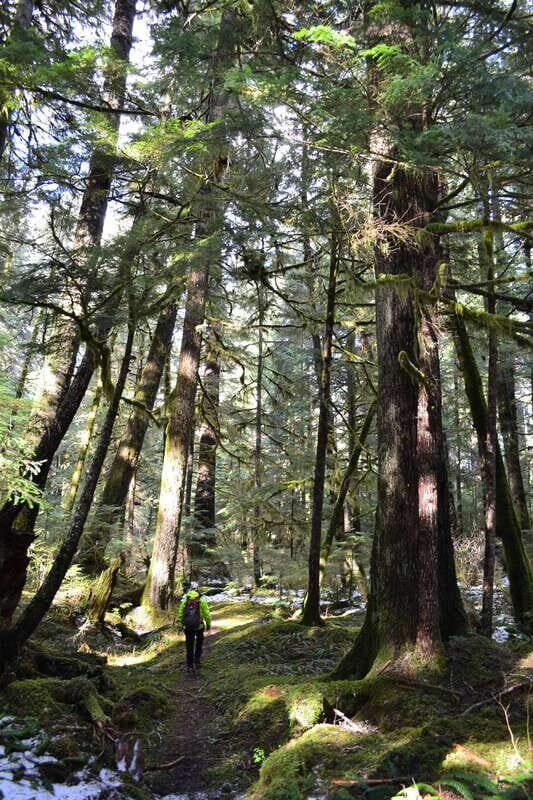 Cape Scott: San Josef Bay Day Hike with Scenic Drive - The Sum Up: Why This Tour Stands Out