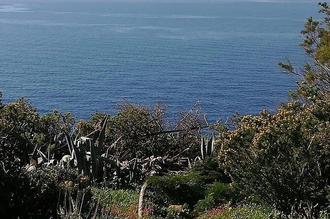 Cape Sounio and Temple of Poseidon Half Day Private Tour - Final Thoughts