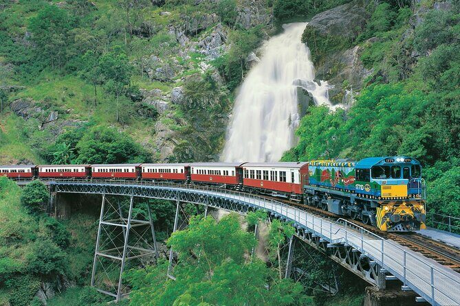 Cape Tribulation and Daintree Wilderness Day Tour in Cairns - Who Is This Tour Best For?