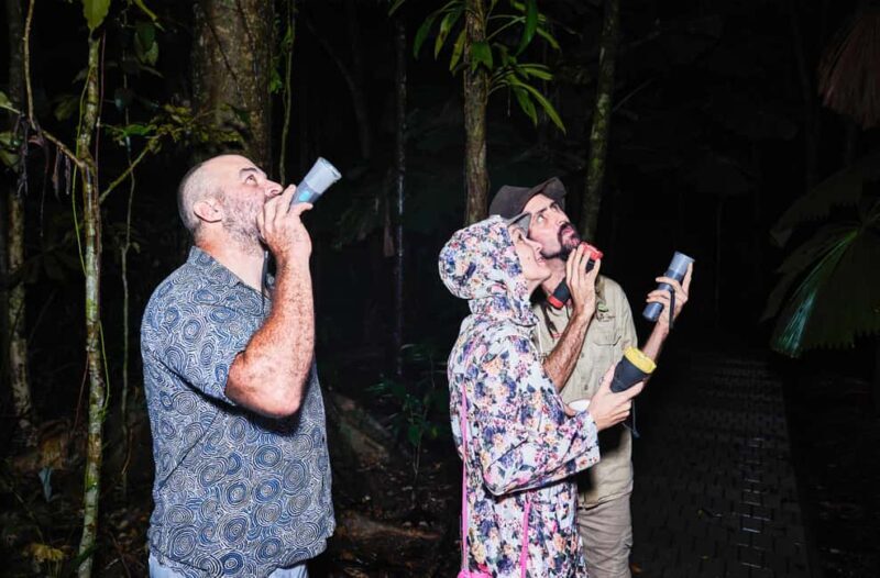 Cape Tribulation: Daintree Rainforest Night Walk Tour - Exploring the Daintree Night Walk: What to Expect