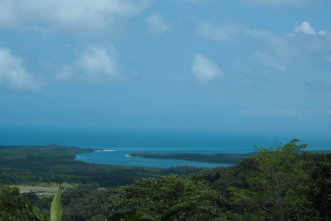 Cape Tribulation & Daintree Wilderness (TCT) - Key Points