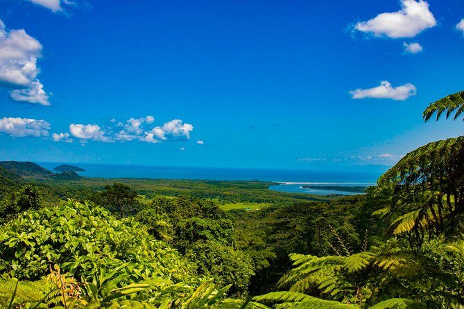 Cape Tribulation Day Tour - A Deep Dive into the Cape Tribulation Day Tour