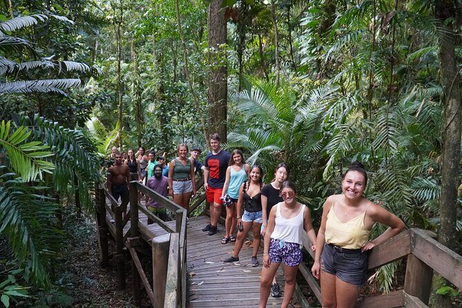 Cape Tribulation Day Tour from Cairns - Exploring the Best of Cape Tribulation on a Cairns Day Tour