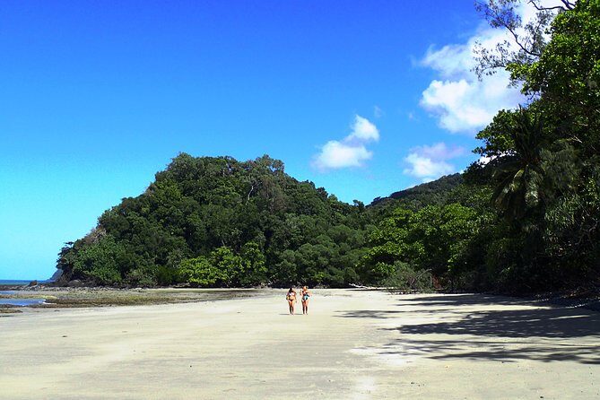 Cape Tribulation Day Tour from Cairns - Who Will Love This Experience?