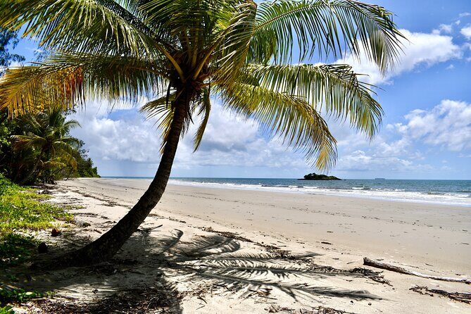 Cape Tribulation, Mossman Gorge, and Daintree Rainforest Day Trip - The Sum Up
